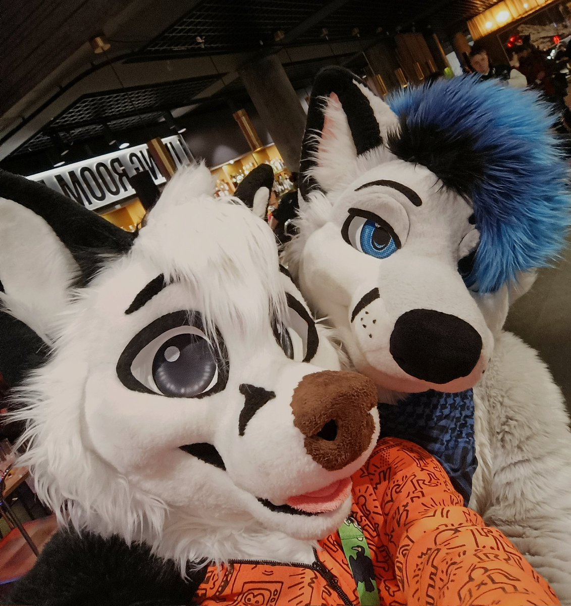Wyle 🇮🇹 (@whoyouleastexp_) on Twitter photo I found a fellow white fox and he is so cute 🥰
🦊 <a href="/RiyoRiyote/">Riyo ➡️ Scotia, NFC, LVFC</a>
🗓️ #NFC2025
#furry #furryfandom #fursuit #fursuiter #foxes I found a fellow white fox and he is so cute 🥰
🦊 <a href="/RiyoRiyote/">Riyo ➡️ Scotia, NFC, LVFC</a>
🗓️ #NFC2025
#furry #furryfandom #fursuit #fursuiter #foxes