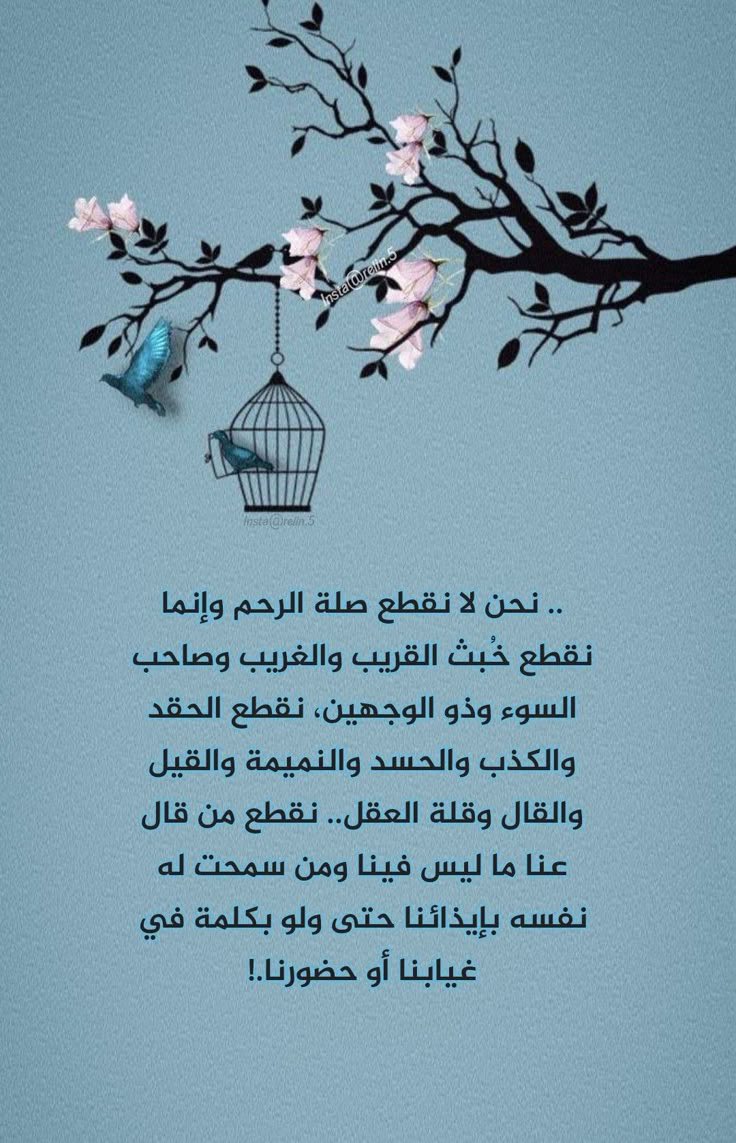 moh_007a's tweet photo. #الطايف https://t.co/XSXOTmdiEZ