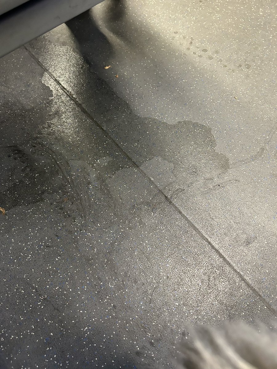 Claire Irvin tweet media