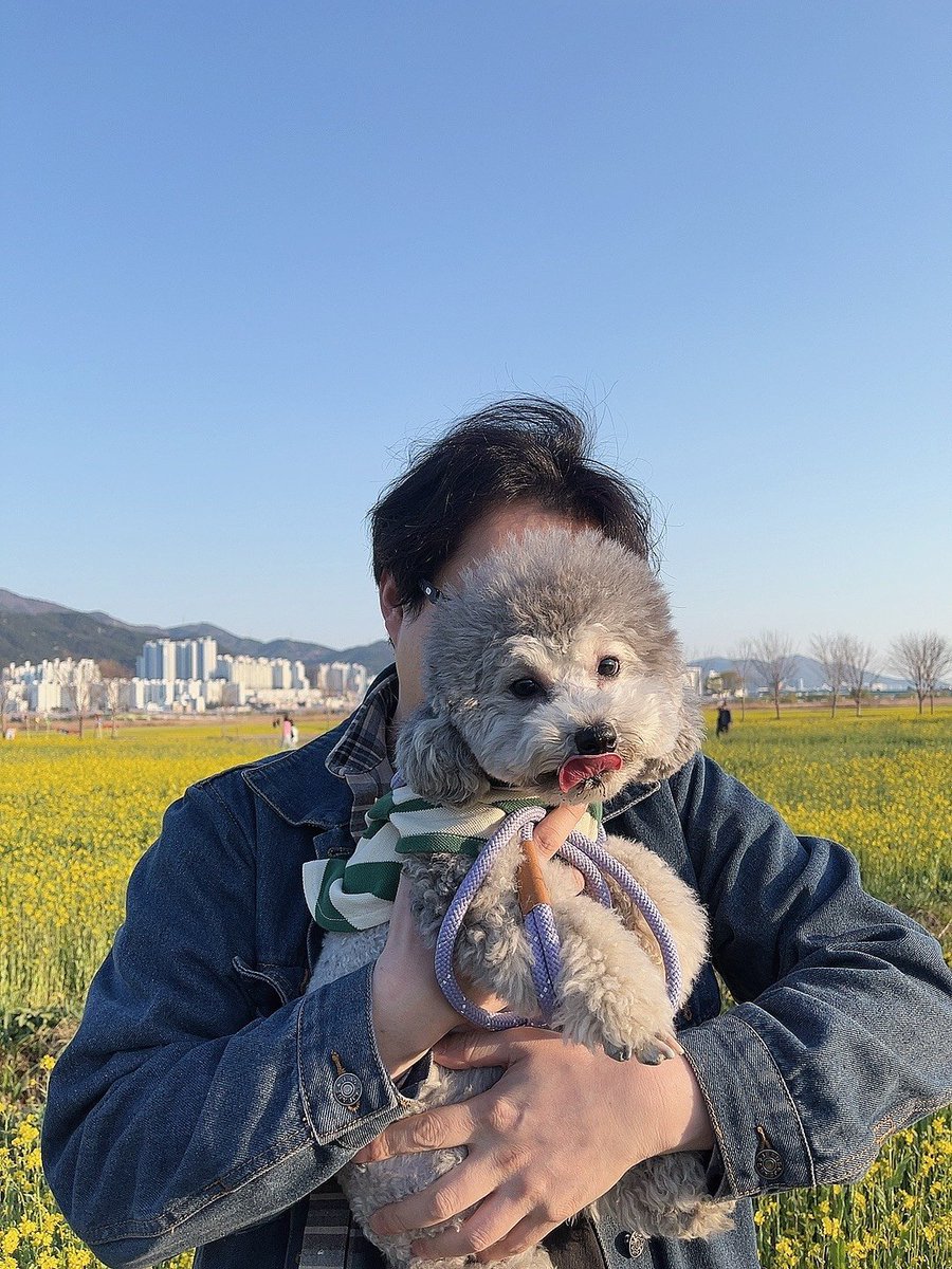 Rodem0903's tweet photo. https://t.co/kjPh4C8PJl