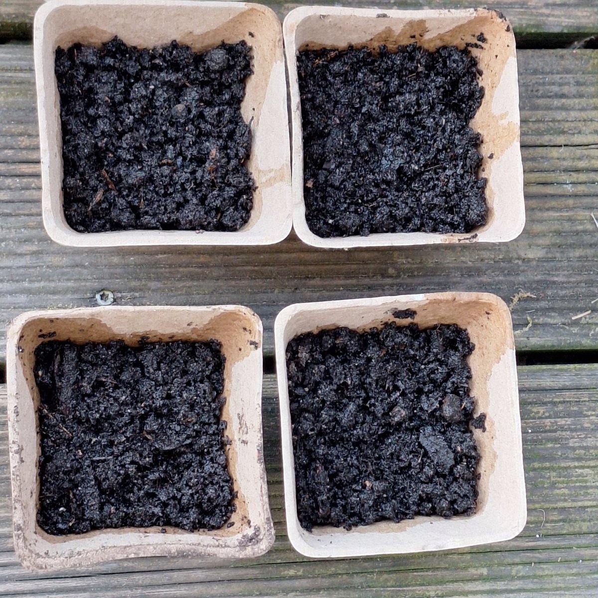 Prof. Dr. phil. fake.* Oskar-Maria Hanfmöger🦉🥦🍄 tweet media