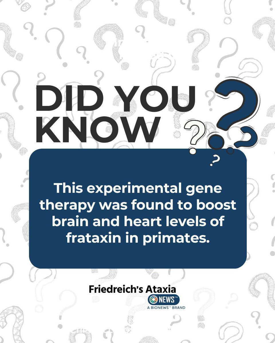 Friedreichsatax's tweet photo. New research presented at MDA 2025 shows that one dose “demonstrates potential for complete correction across all CNS target tissues.” https://t.co/7sq83F0kts
#MDAConference #FriedreichsAtaxia #FriedreichsAtaxiaNews #FAResearch https://t.co/eNXtKam51q