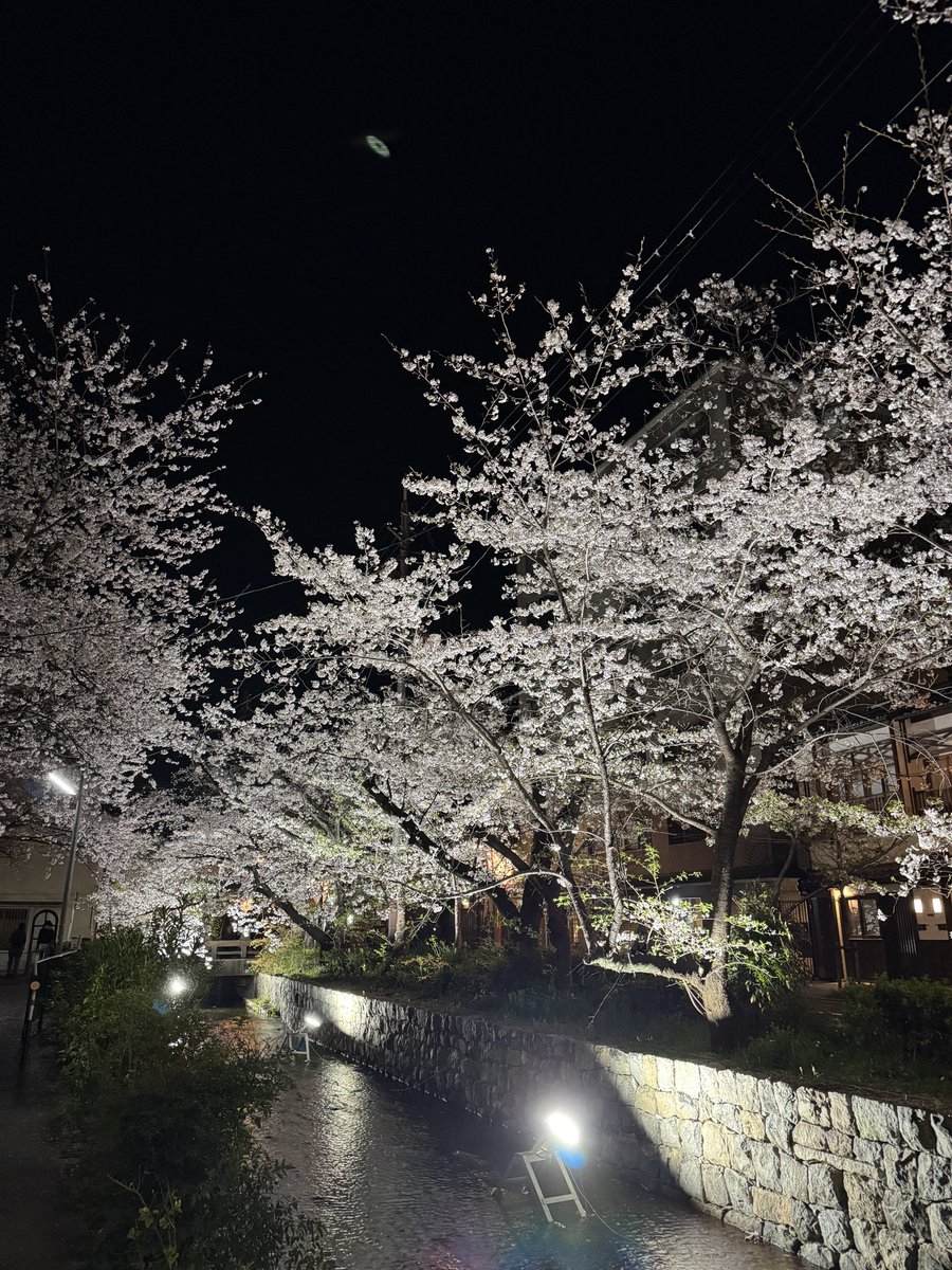 ohsuga_daikan's tweet photo. #高瀬川 https://t.co/b5UaFwQYMU