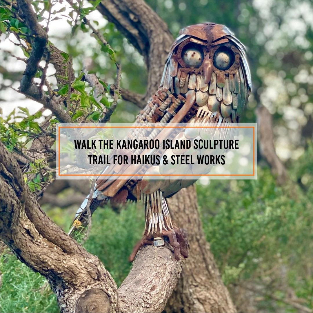 dreamscapes_mag's tweet photo. A zoo without walls is like a …? https://t.co/DwIwz5ySYw