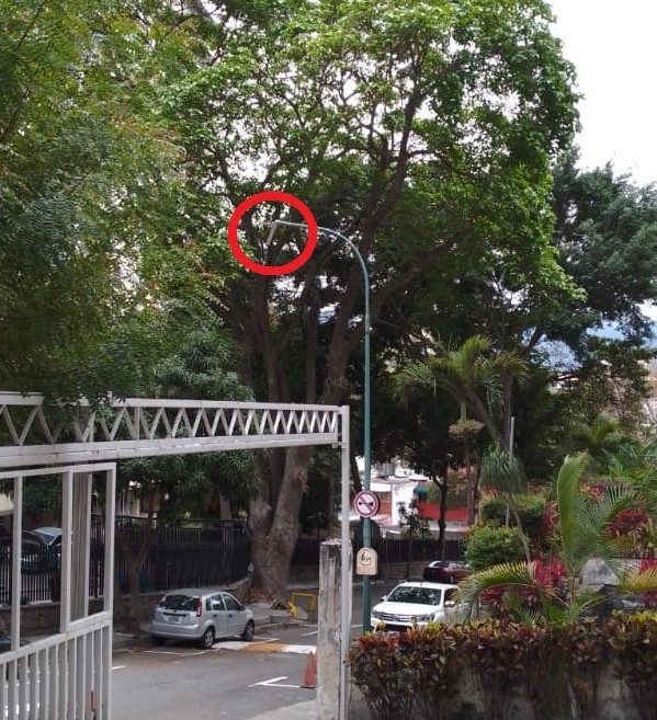 ⚠️⚠️ Buenas tardes <a href="/darwingonzalezp/">Darwin González</a> , la luminaria del poste 51EM185 en el Ramal 6 de la Calle Caurimare #ColinasDeBelloMonte está colgando desde hace varios días y puede caer en cualquier momento. Gracias de antemano por solucionar. <a href="/AlcaldiaBaruta/">Alcaldía de Baruta</a> <a href="/BarutaOperativa/">Baruta Operativa</a> <a href="/luisaguilarj/">Luis Eduardo Aguilar</a>