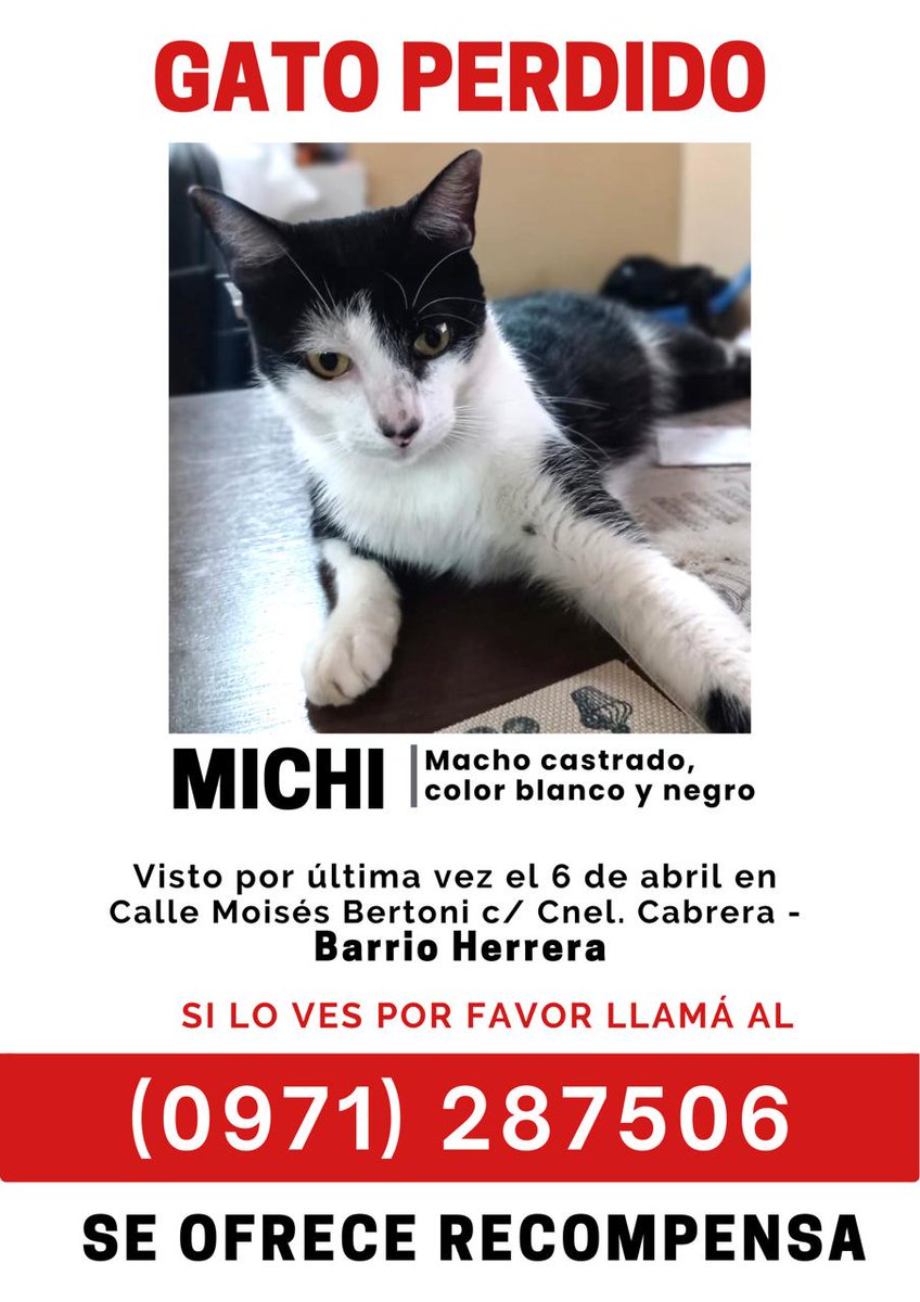 Diego501 tweet media