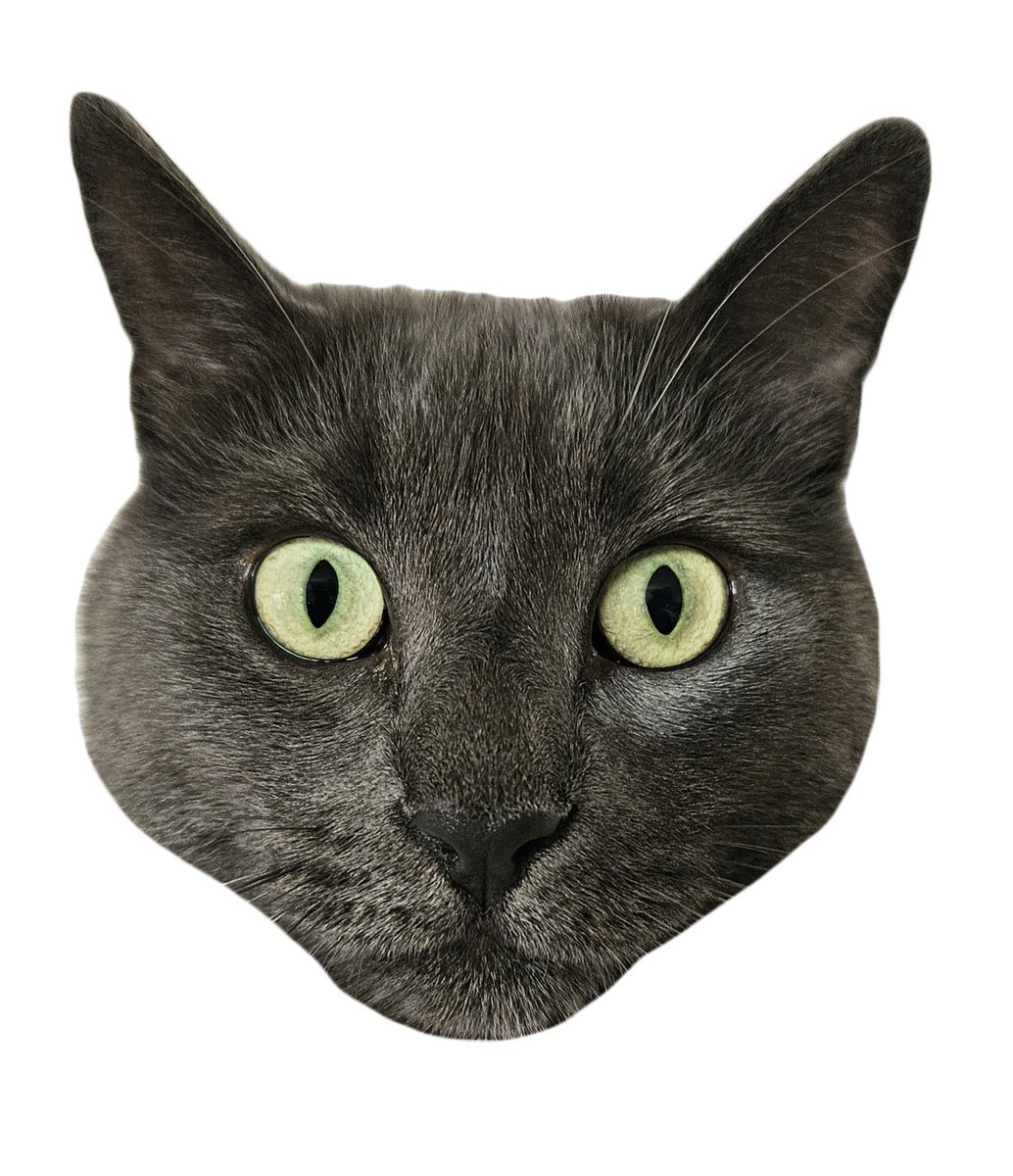 hsilas14's tweet photo. @inkonchain 
Best meme ever is certainly my buddy Piwi
#piwi #ink #meme https://t.co/Rf7zSBXwZm