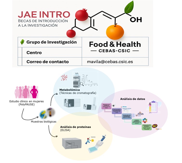 ¿Te apasiona la ciencia y quieres dar tus primeros pasos en la investigación? 🧪

✨ Únete al Food&amp;Health LAB con la beca JAE INTRO (JAEINT25_EX_0578) y vive la experiencia desde dentro

Link a la convocatoria 👇convocatorias.csic.es/convoca/