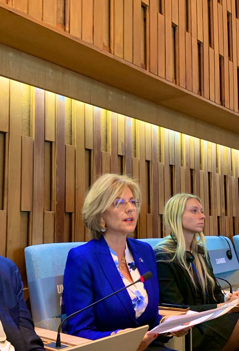 CKokkinakis's tweet photo. Today I delivered the omnibus statement at the opening of @UNESCO Executive Board.
The #EU strongly supports UNESCOs work on the implementation of #PactoftheFuture and the #SDGs #Ukraine #HumanRights #journalists
#UN80
#EUDiplomacy
@UNESCOEU
@eu_eeas
@EUatOECD_UNESCO https://t.co/sxAuTZfmtx