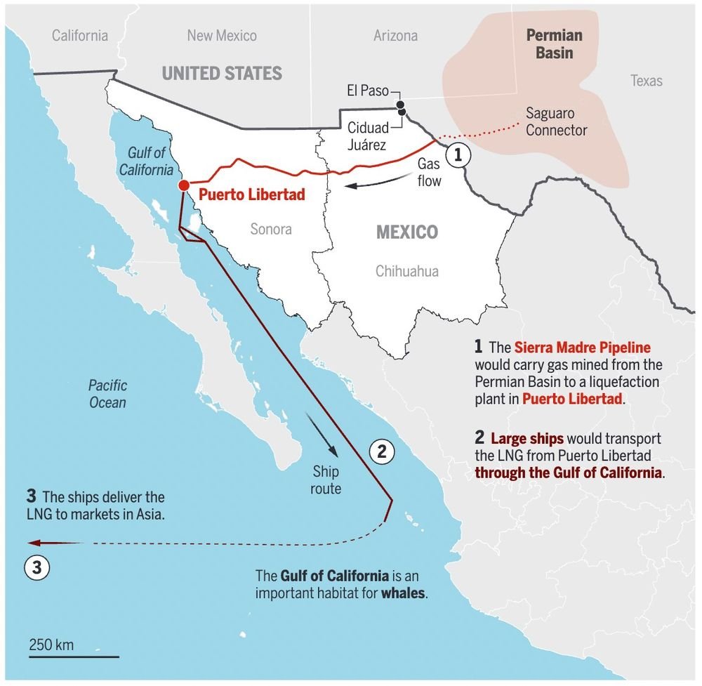 Alexa Robles-Gil tweet media