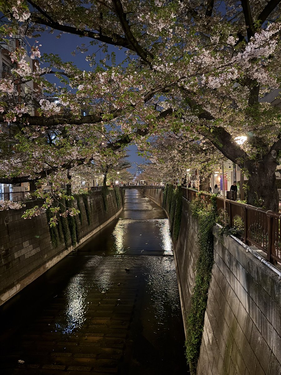 Larry Zhao tweet media