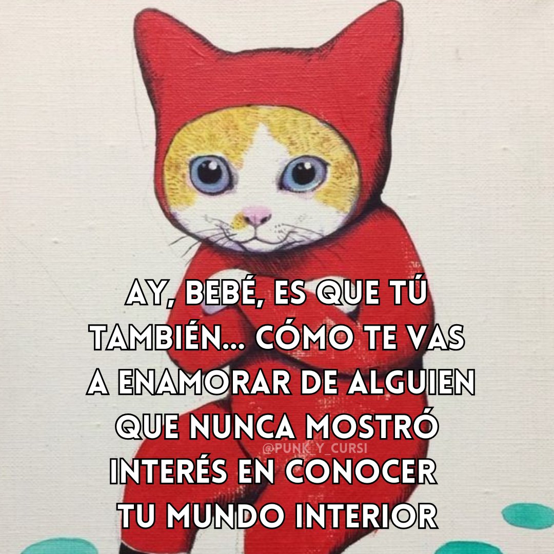 punk_y_cursi's tweet photo. 🐱🐱🐱🐱 https://t.co/EAIwflVgf5