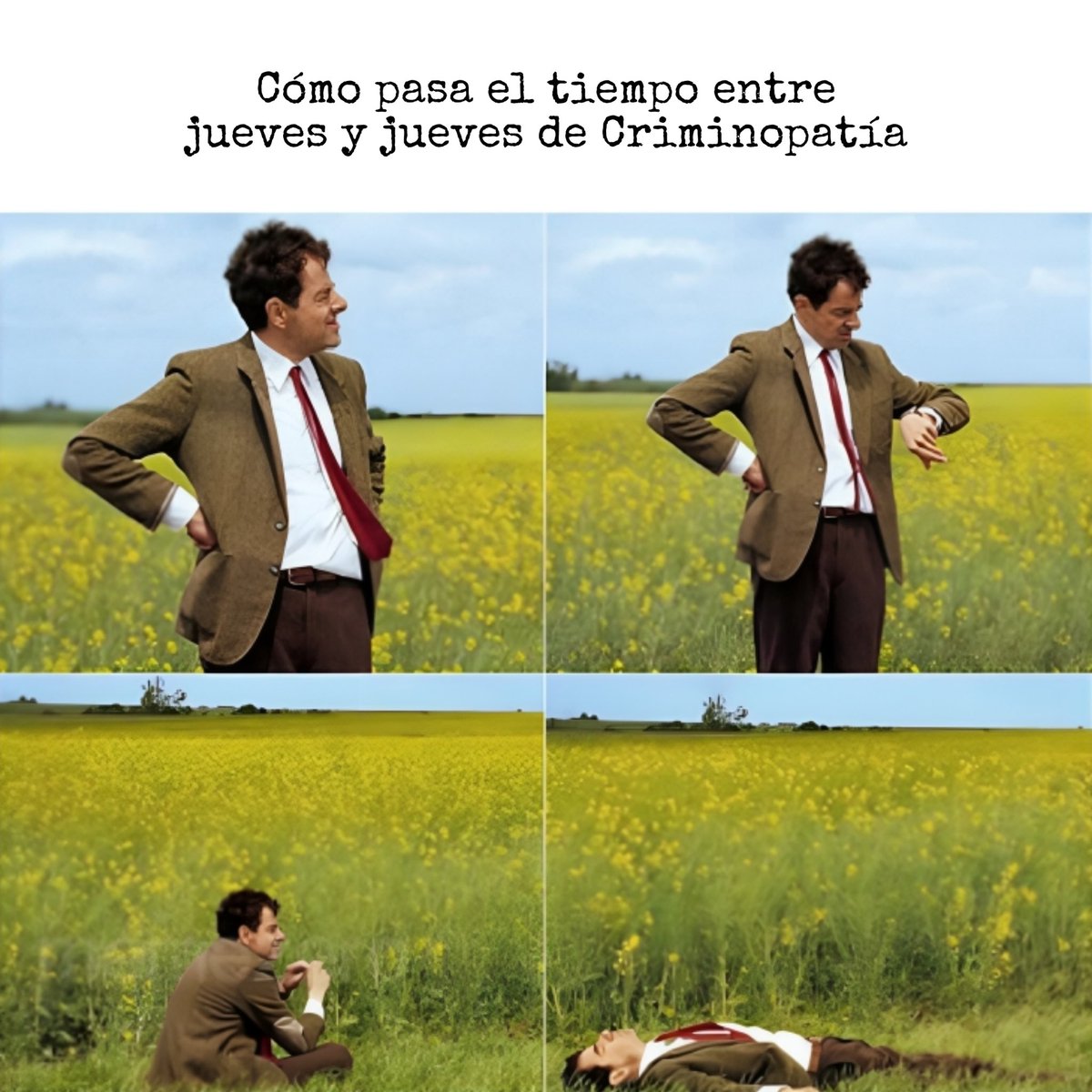 ¿Somos?