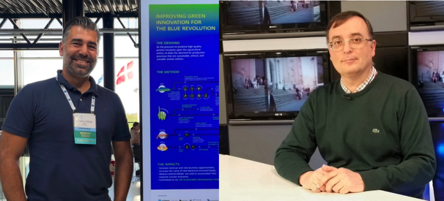 IGNITION (@ignition__eu) on Twitter photo We're thrilled to announce that our own <a href="/BCostasCiimar/">Benjamín Costas</a> ( <a href="/CiimarUp/">CIIMAR-UP</a> ) & Juan Miguel Mancera ( <a href="/univcadiz/">Universidad de Cádiz</a> ) have been invited to chair the "Welfare" session at #AquacultureEurope2025
📍 Valencia
📅 22–25 Sept
⏳ Submit your abstract by 1 May!
🔗 aquaeas.org/Abstract/Submi… We're thrilled to announce that our own <a href="/BCostasCiimar/">Benjamín Costas</a> ( <a href="/CiimarUp/">CIIMAR-UP</a> ) & Juan Miguel Mancera ( <a href="/univcadiz/">Universidad de Cádiz</a> ) have been invited to chair the "Welfare" session at #AquacultureEurope2025
📍 Valencia
📅 22–25 Sept
⏳ Submit your abstract by 1 May!
🔗 aquaeas.org/Abstract/Submi…