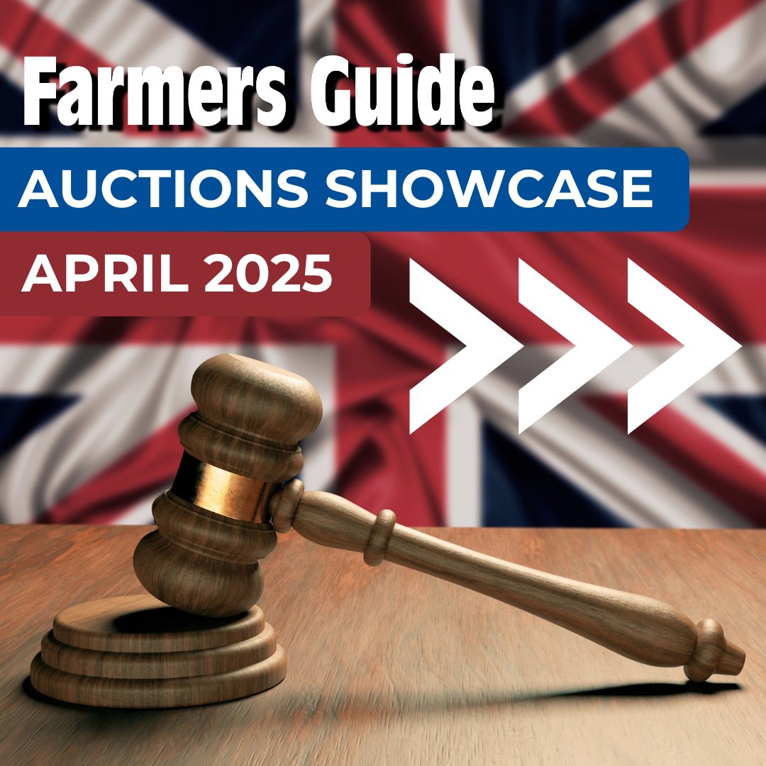 FarmersGuide's tweet photo. View upcoming machinery, equipment, livestock and property auctions in the UK 👇
https://t.co/oS7AD3gXpm

Featuring: @CheffinsMachine | @hallsholdings | #williamsauctions | @AdamHewittLtd

#auctions #machinery #forsale #ukauctions #machineryauctions #auctionalert #auctionhouse https://t.co/0bQWuZCuKJ