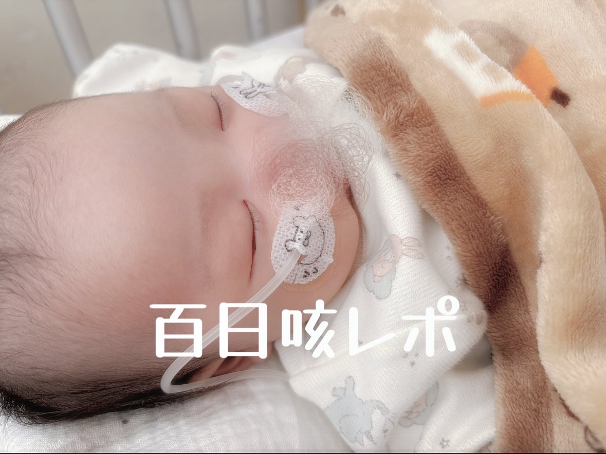 𝙢𝙖𝙤☺︎ (1y) 🩰 tweet media