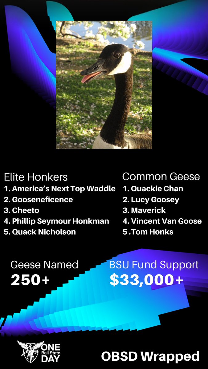 The dust has settled on One Ball State Day, and with it, hundreds of geese have been named. 

Take a gander at our OBSD Wrapped: Goose Edition to see some of our staff favorites as well as our most common names 😉 🪿 #OneBallState