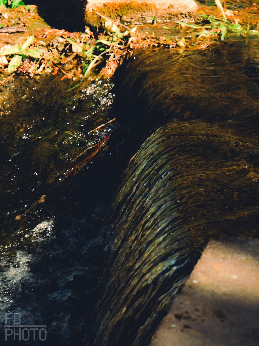 8BitFin's tweet image. Started experimenting with some nostalgic style settings and presets on Lightroom, though I'd share the results 📸

Camera: Panasonic @LUMIX_Japan  G80 with 12-60mm Lens
Edited with: @Lightroom 

#photography #lightroom #nostalgic #LUMIX #studentphotographer