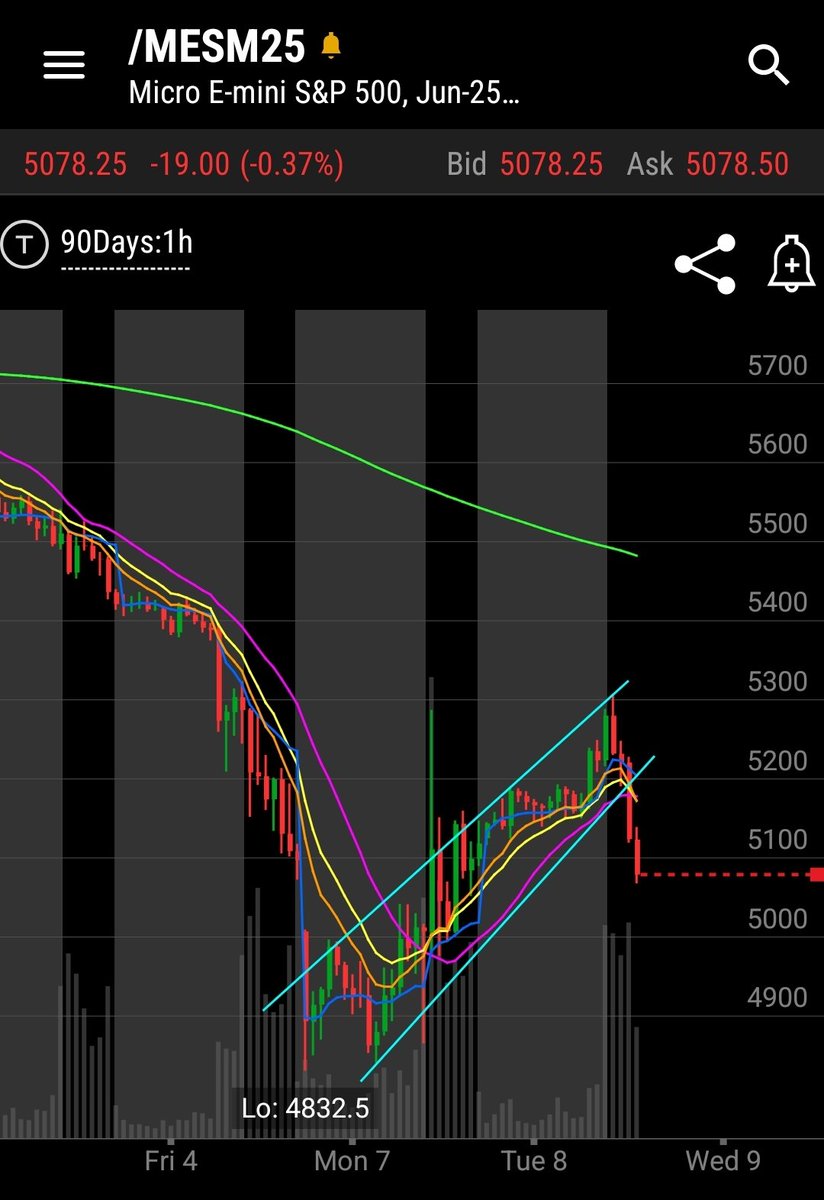 Clean Bear flag $SPY