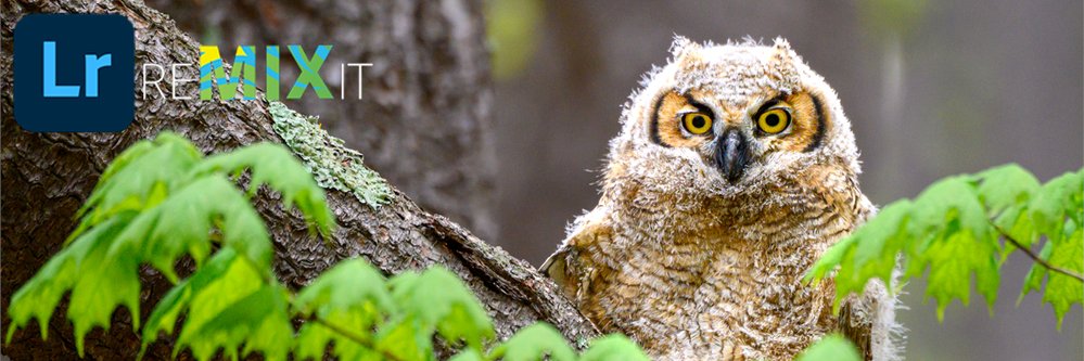 Lr Remix: B&amp;W with color mask #Lightroom infl.tv/o482