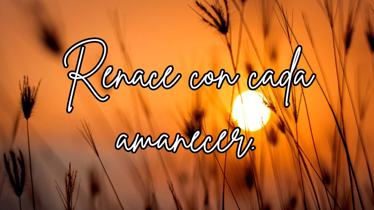 brushstyleart's tweet photo. "Cada amanecer es una nueva oportunidad para renovar nuestra fe y esperanza." ¿Qué significa para ti empezar de nuevo?
#LunesSanto #Renovación #NuevaSemana #FelizLunes https://t.co/G6SLQYlv4W