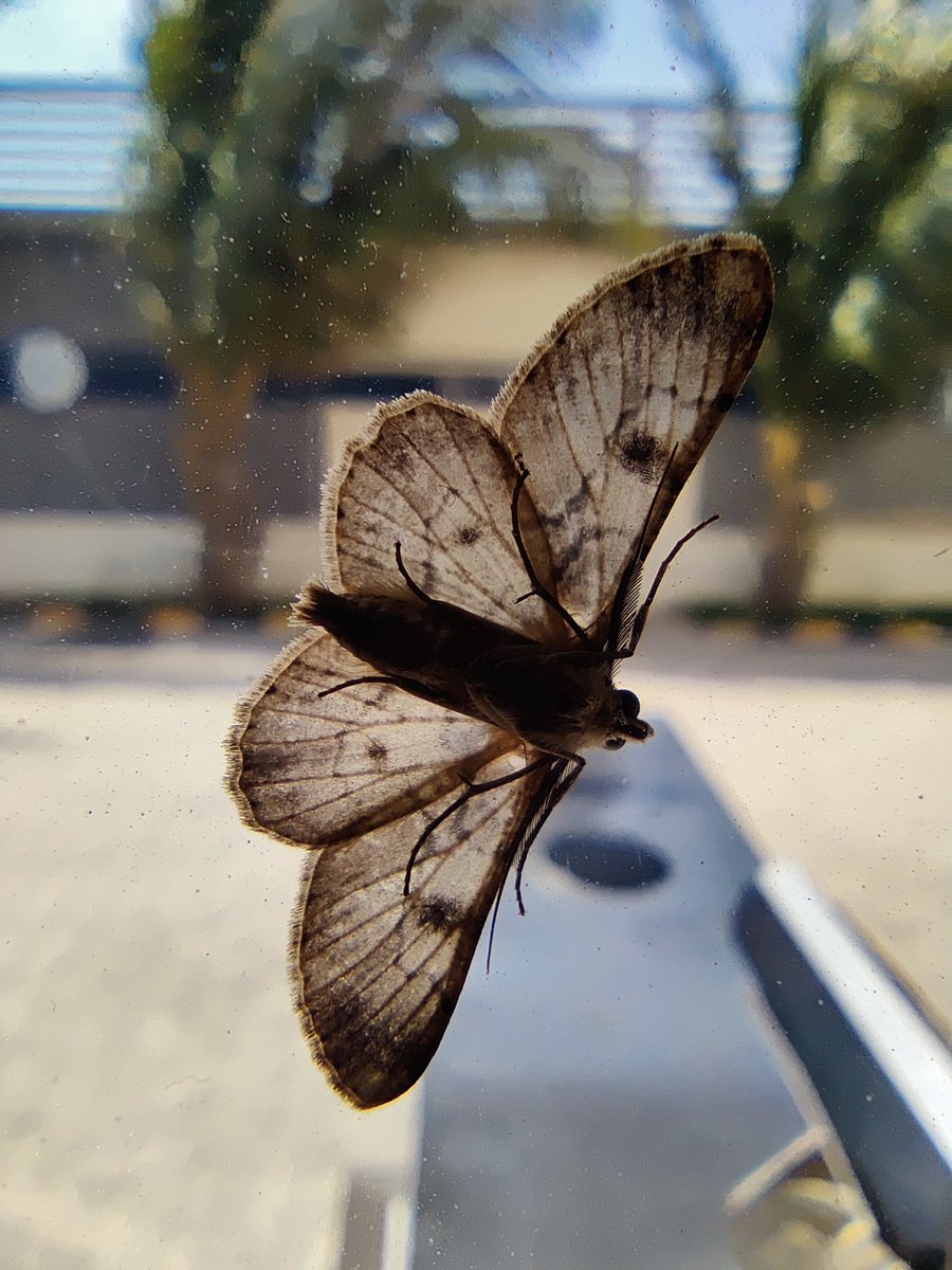 MHaseeb_22's tweet photo. Nature's Beauty... Subhan Allah... https://t.co/BaOkljcrwP