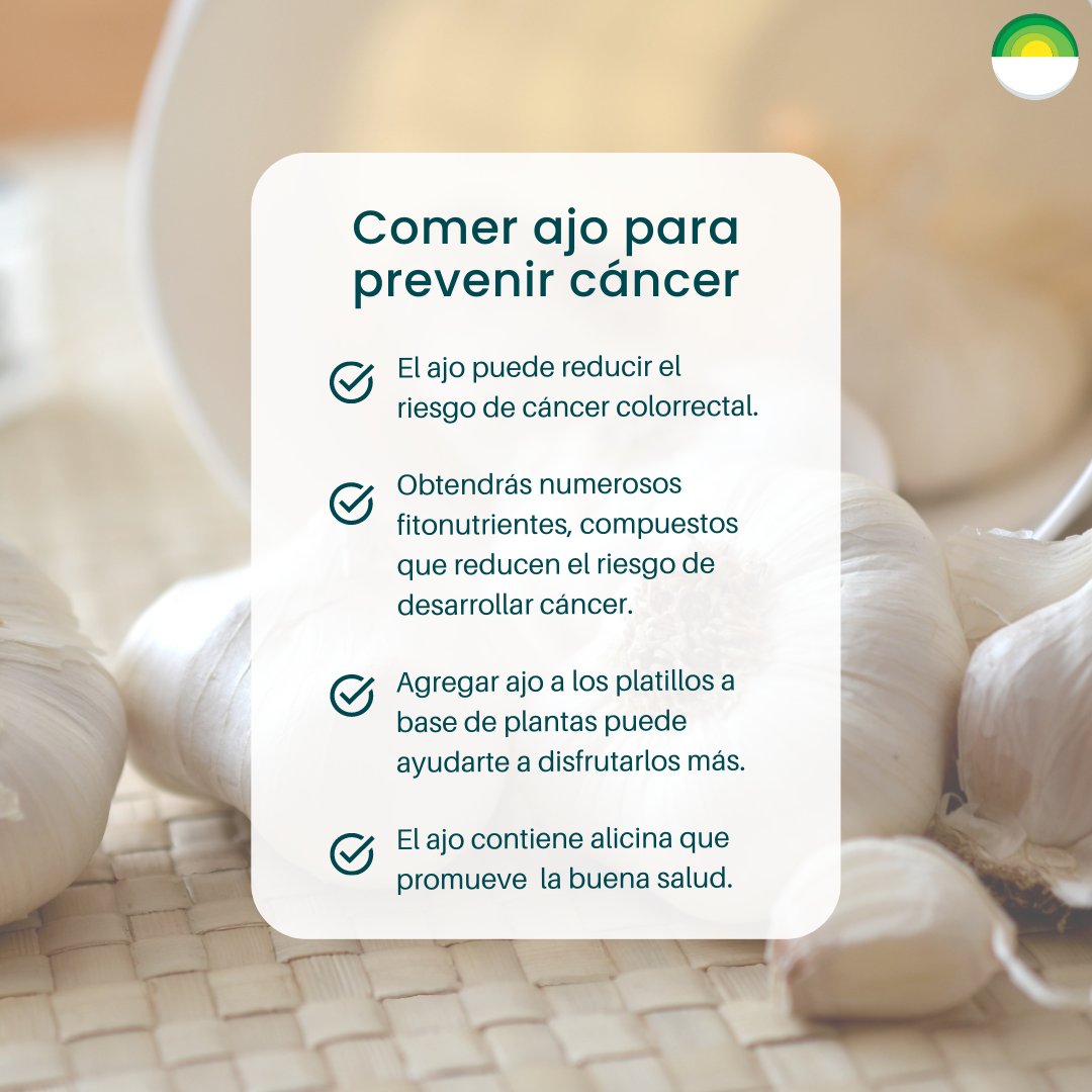 EN: Explore garlic's health benefits! 🧄 It's a superfood for heart health &amp; cancer prevention. Learn more: bit.ly/3wDhrgO
_____

ES: ¡Explora los beneficios para la salud del ajo! 🧄Un superalimento para el corazón y prevención del cáncer. Info: bit.ly/3wDhrgO