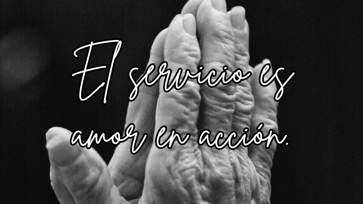 brushstyleart's tweet photo. "Servir a los demás es el mayor acto de humildad y amor." ¿De qué forma puedes regalar tu ayuda hoy?
#JuevesSanto #Servicio #Humildad #FelizJueves https://t.co/C3xwyE3qxv