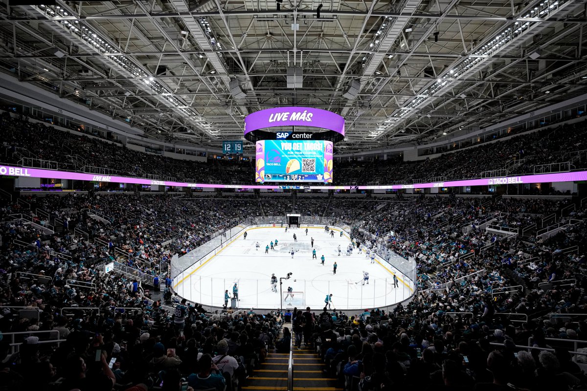 アリーナ arena サンバイザー 楽天市場】バイザー（ブランドアリーナ）（スポーツ・アウトドア