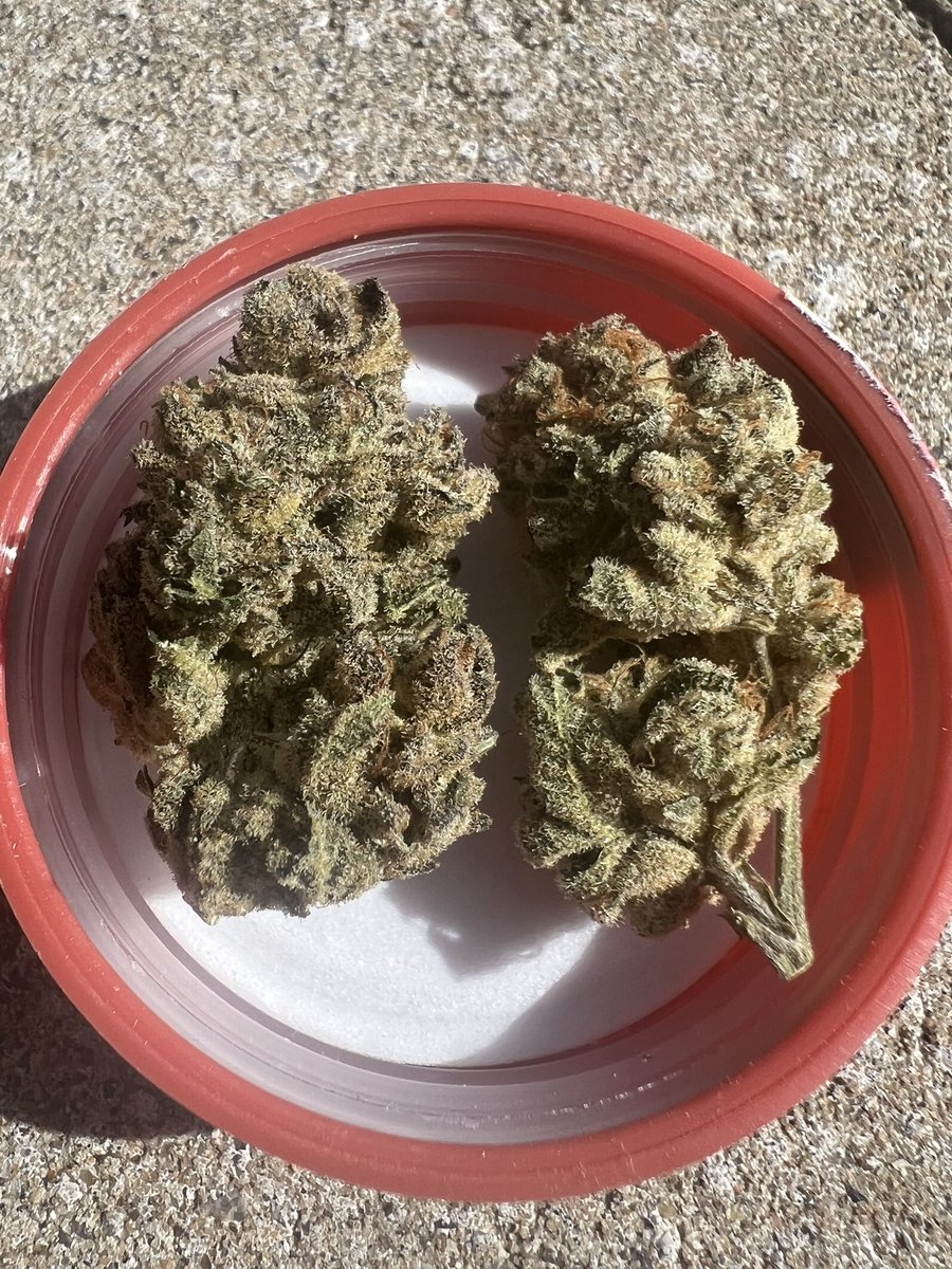 More grape crème cake <a href="/SimplyBareOrgnc/">Simply Bare Organic</a>