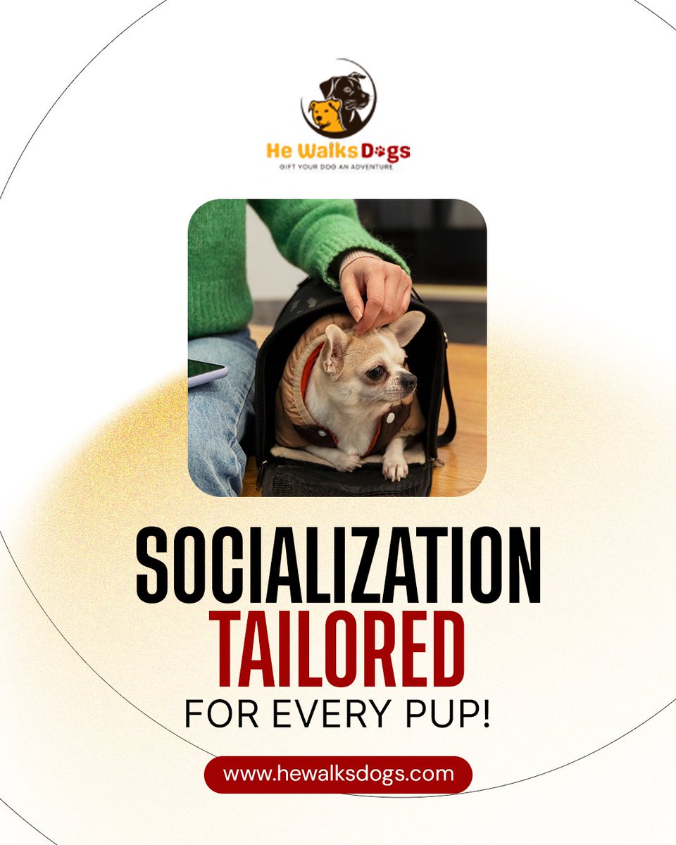 hewalksdogs2024's tweet photo. Tailored Social Time for Every Pup!
🐾 From shy to social, we’ve got your dog covered!
Custom walks build confidence, improve behavior &amp; boost happiness. 🐶
📅 Book now: https://t.co/CaUZjeE8KH
#ConfidentCanines #SocialDogs #HappyPups #DogLovers #HeWalksDogs https://t.co/tSMpmEDptT