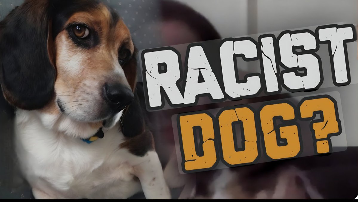 God Save Great Britain tweet media