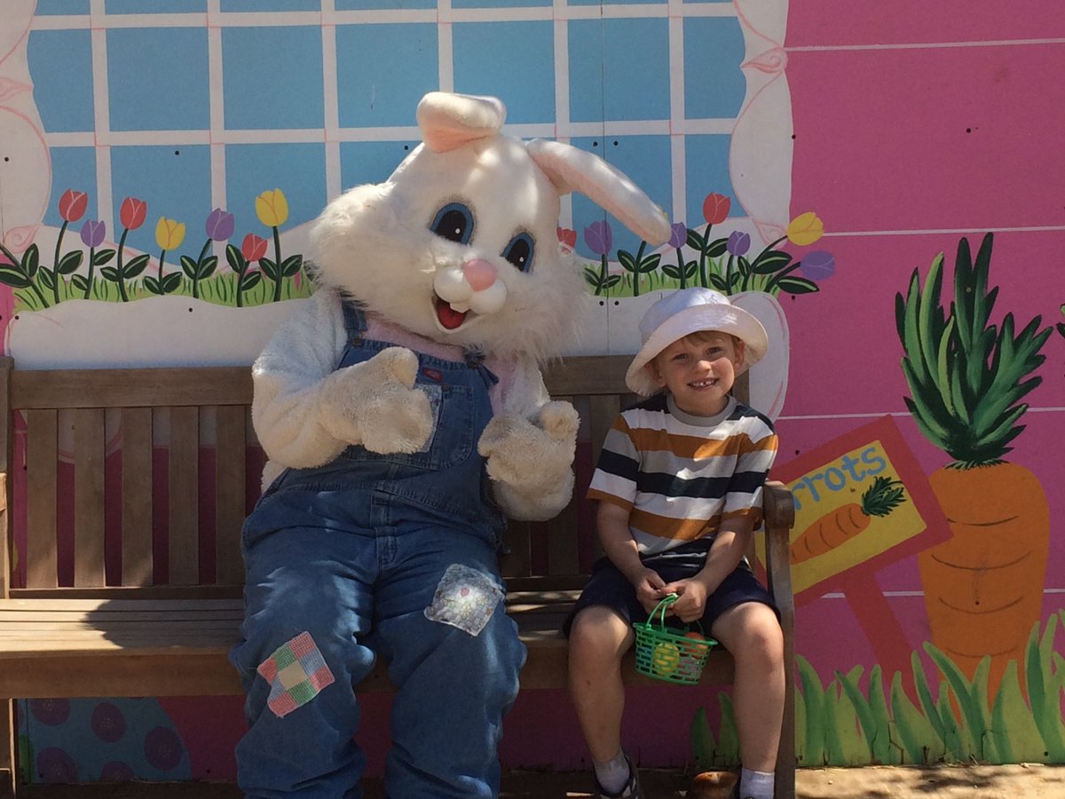 Tracey Sells LA tweet media