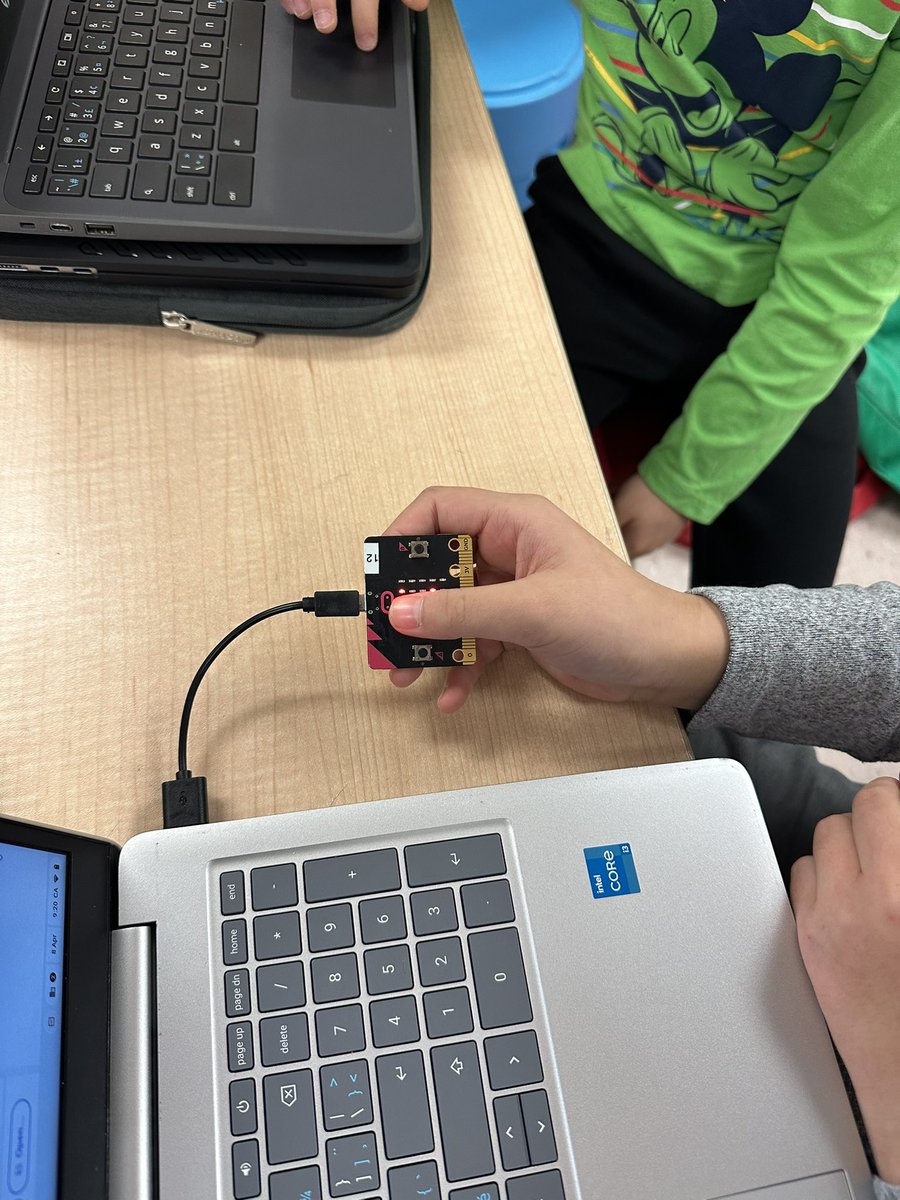 Amanda Rose tweet media