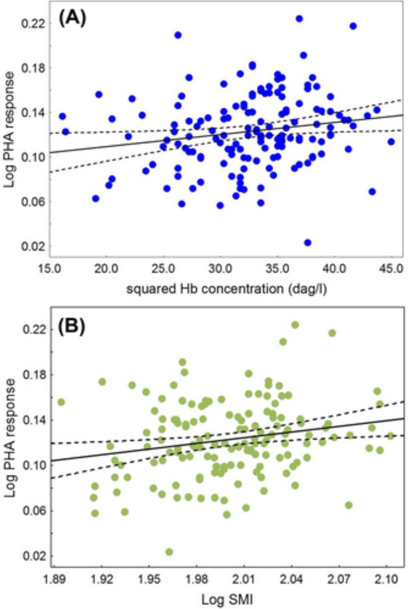 J. of Avian Biology tweet media