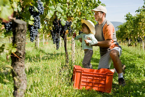 Join the Guild to taste wines from regions and countries known for “Native Varietal” wines including France, Italy, Spain and Portugal. There’s something special about grapes grown in their birthplace and this event features great examples. Register here: ow.ly/qO5R50VwtrB