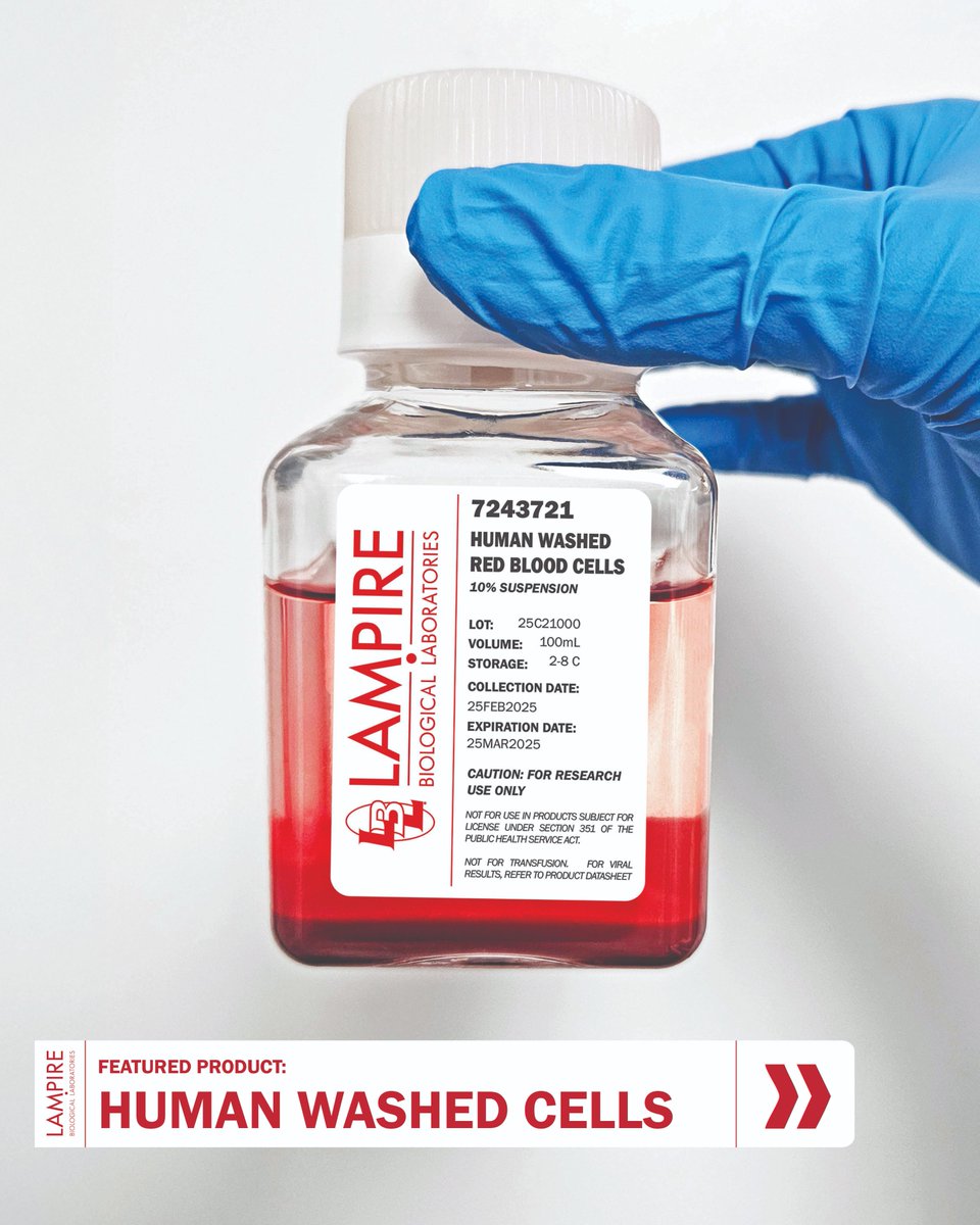 LampireBIO's tweet photo. Our Human Washed Cells are processed with care, available in different suspensions and pack sizes, and delivered fresh to meet your specific needs. Partner with LAMPIRE for expertise that makes a difference in your results.
#Biotech #LifeSciences #LAMPIRE https://t.co/b9DYX1zIQy