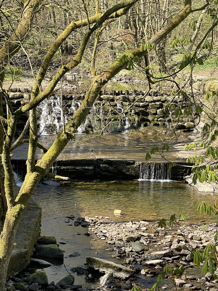 JamesReaderFRF's tweet image. On a day like today, it’s not a bad job is it?