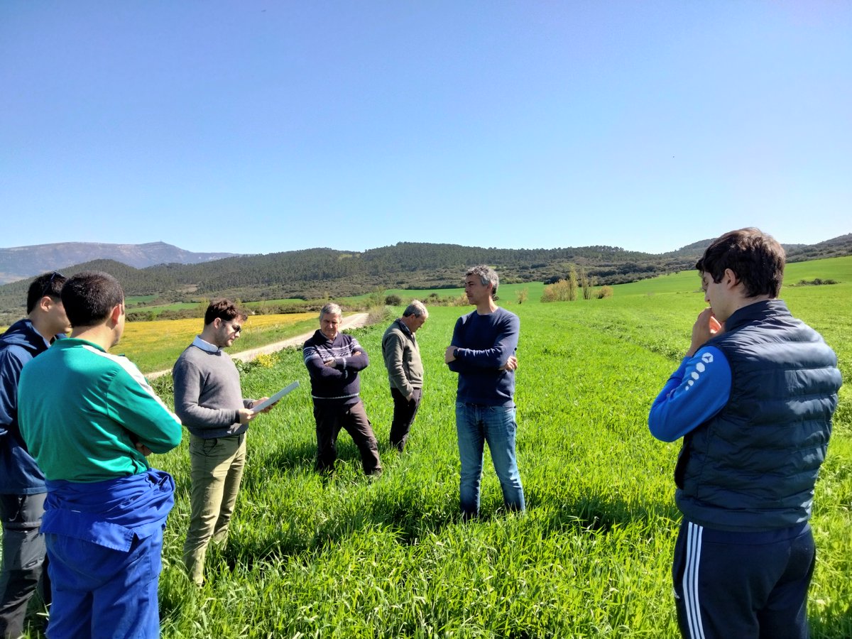 IntiaSa's tweet photo. 📸🌾👩‍🌾 Jornada sobre nuevas variedades Cebada Guisantes y Abonado de fondo de cereal en la Cooperativa de #Sangüesa 

📸🌾👩‍🌾Cebada Ilar eta Zereal-hondoko ongarriei buruzko jardunaldia #Zangoza-ko kooperatiban

#ClimateFarmDemo #SustainableAgriculture #Demofarms #HorizonEurope https://t.co/ErAUCcnHH7