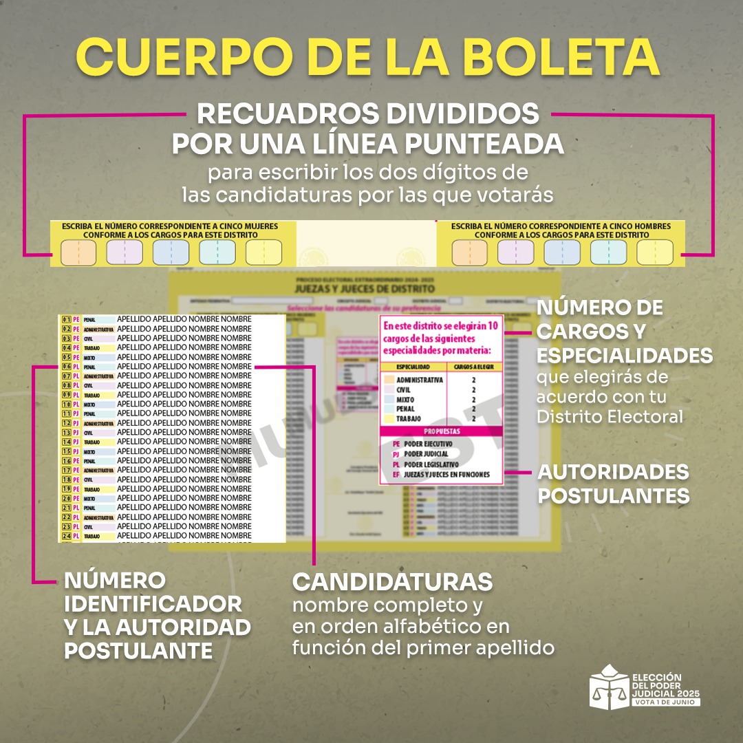 #ABCpoderJudicialMX ¿Cómo votar por Juezas y Jueces de distrito?

🔹 Ubica las listas de candidaturas: mujeres a la izquierda, hombres a la derecha.
🔹 Identifica los números de quienes quieres elegir.
🔹 Anótalos en los recuadros con dos dígitos (ej. 01, 02, 03).