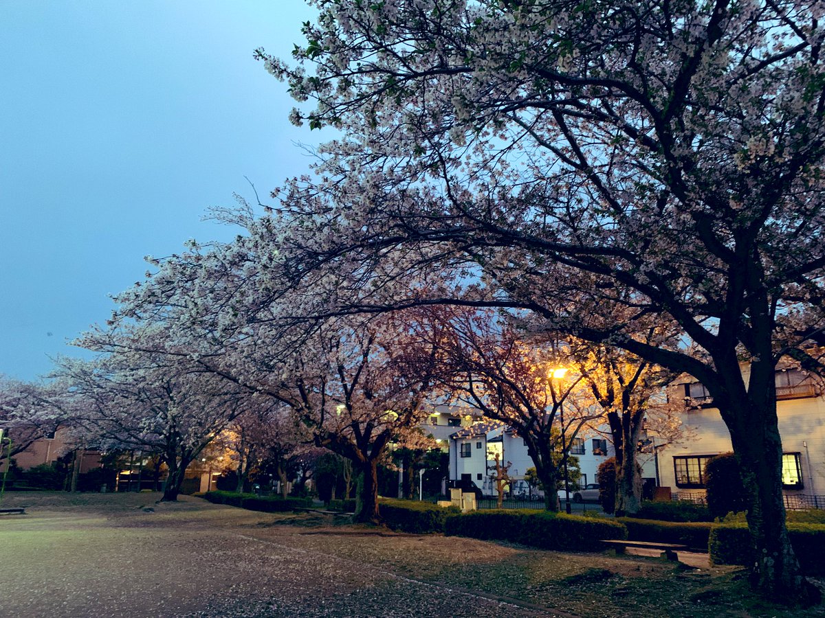 kaorino_1ch1go's tweet photo. #HBDSean2025
@SeanRabbittCafe 
ショーンくん！
お誕生日おめでとうございます🎂🥳🎉❤️
今年も幸せいっぱいの一年になりますように🌸🌸🌸 https://t.co/KcbXtxs8Tk