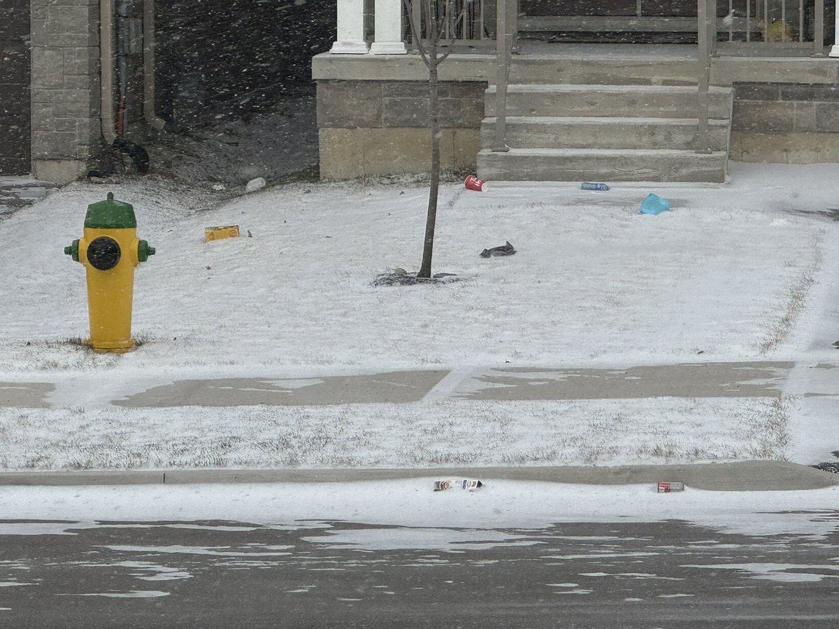 liorbardes's tweet photo. @GFL_Ag just curious why bins can’t have a hinged lid. @townofeg is covered in trash every time the wind picks up and this is just a small selection of the mess this policy creates. Train to handle hinged containers like Toronto and keep garbage in the bins. Keep the planet clean https://t.co/igFp6WTv1U