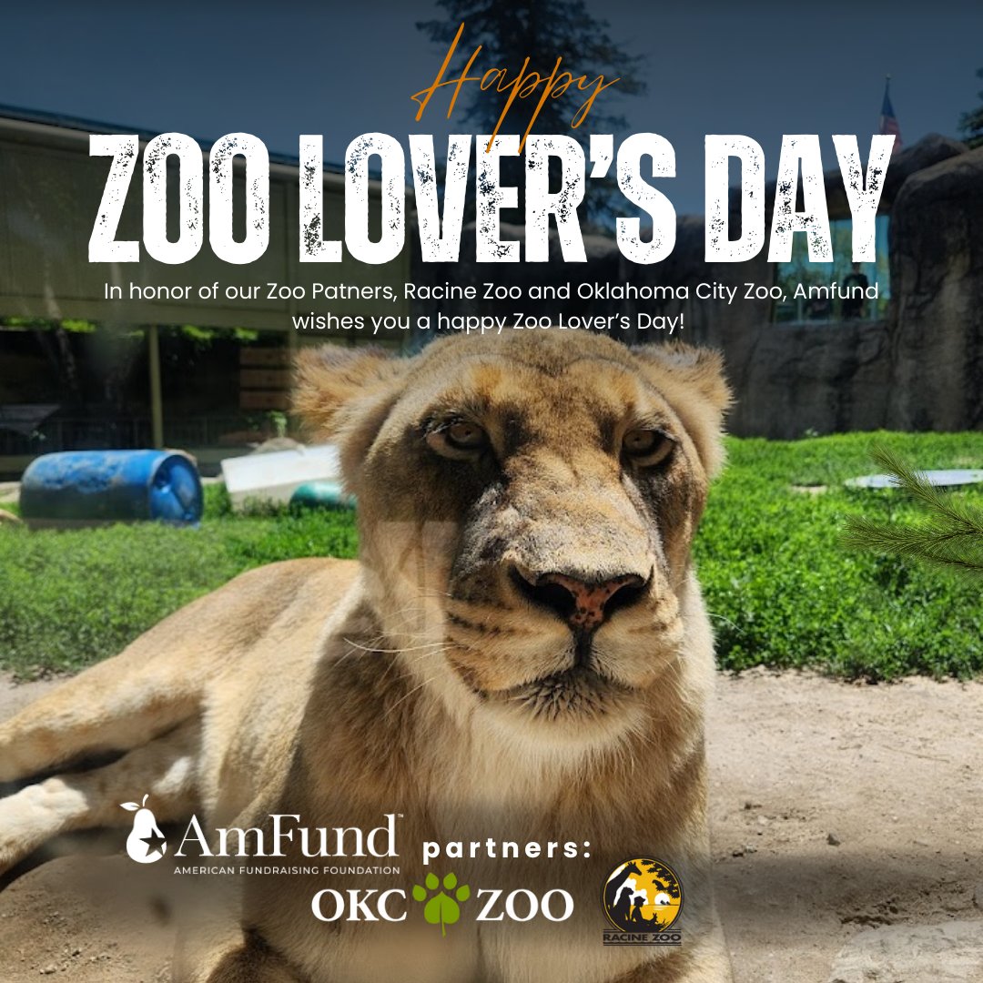 AmFundOrg's tweet photo. 🐾 Happy Zoo Lover’s Day! 🐒🦓🦒

Today, AmFund celebrates our love for wildlife and the incredible work of our nonprofit partners like @racinezoo and @okczoo, who inspire conservation, education, and wonder every day. https://t.co/wy961PVLi9