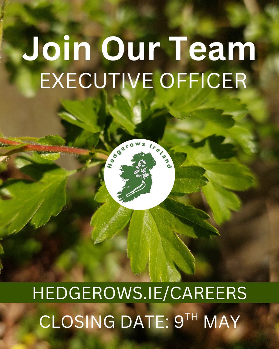 hedgerows_ie's tweet photo. Join our team! Hedgerows Ireland CLG is seeking a part-time Executive Officer. They will support our operations and help us deliver strategies towards our vision of a network of native hedgerows managed for nature. Closing Date: 5 pm, Friday 9th May. https://t.co/dg4r3Fgsuj https://t.co/QAMpv5lnl4