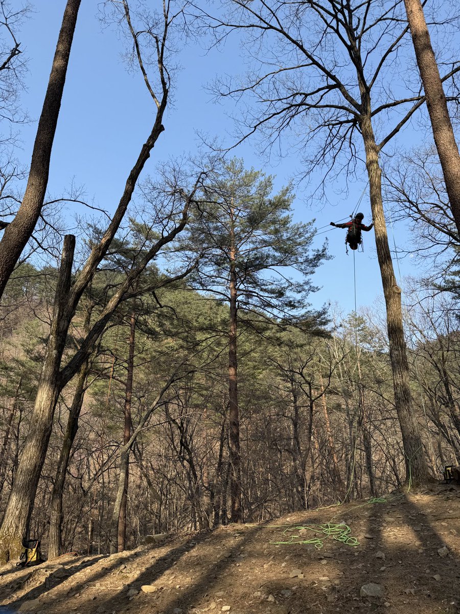 solmirfather's tweet photo. 오늘(4/8,화) 부연동 생활 ..
친구 “시게.상”과 하루죙일(?) 🤩
슬링, 도르레, 회수줄 등을 활용한 (Arborist) ‘Drift Line’설치후 “DdRT MRS” 실전 운용 연습 😎😎😎
.
#WOTT
#WalkingOnTheTreetops
#나무위를걷는사람들
#아보리스트
#트리클라이머
#금송대 https://t.co/aNURJnlkp7