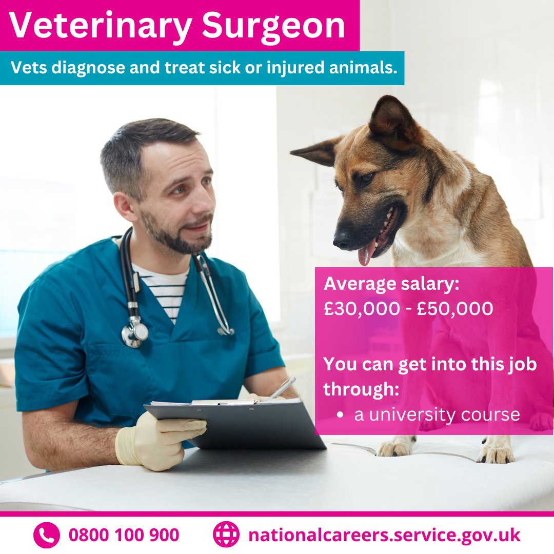 It's Pet Month! 🐶
Veterinary surgeons treat sick and injured animals, from pets to farm animals.

💰 £30,000 - £50,000
⏰ 40 to 45 hours a week

Find out more 👇
nationalcareers.service.gov.uk/job-profiles/v…
#NationalPetMonth