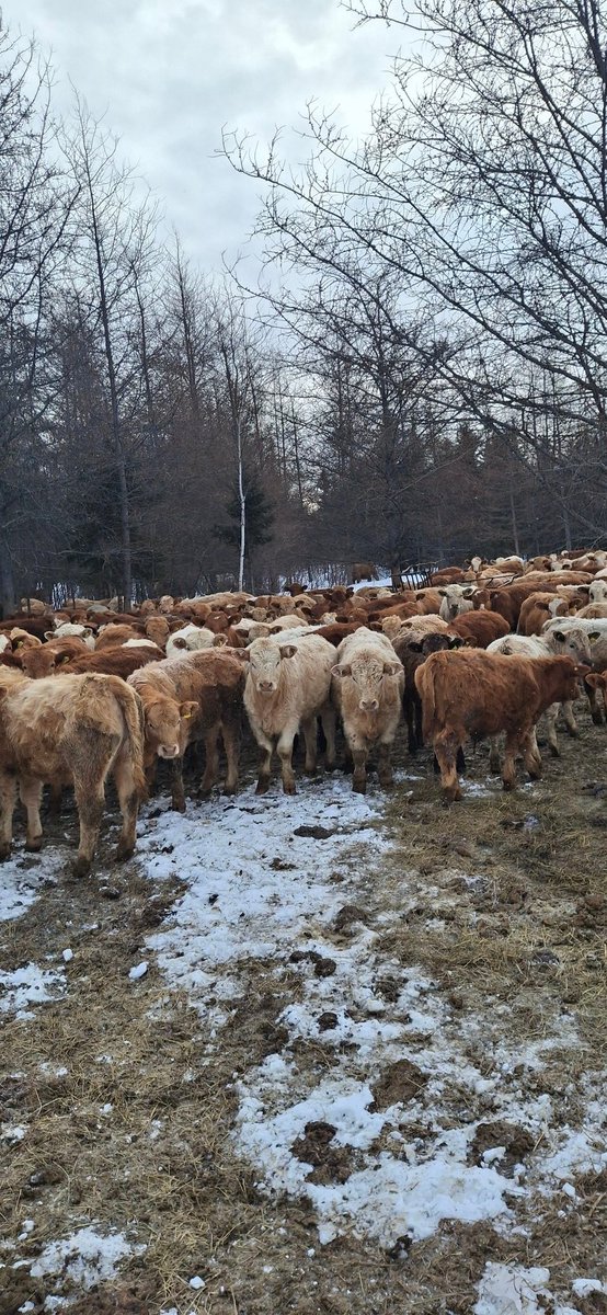 Jason Desrochers tweet media