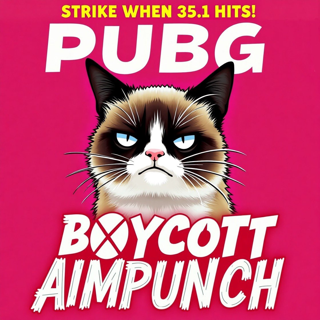 BaronessStrange's tweet photo. Aimpunch is arse, everyone in their right mind agrees. 
PUBG only believes numbers, let’s give them numbers. 
7 days - no log on, no games, no purchases when 35.1 hits. Let’s plummet this bitch. #pubg #battlegrounds #pubgupdate #patch351 #aimpunch https://t.co/LtK9sTvJas
