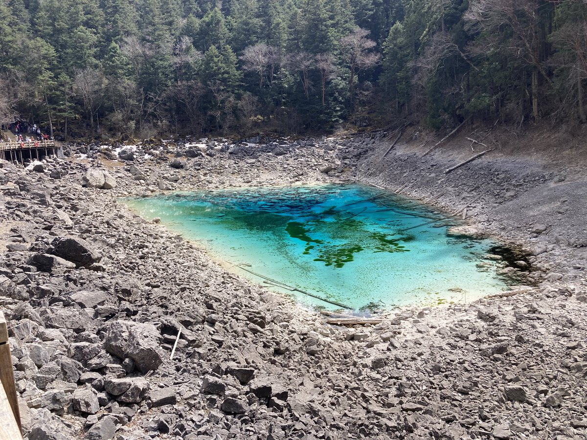 Petr Kačenka tweet media