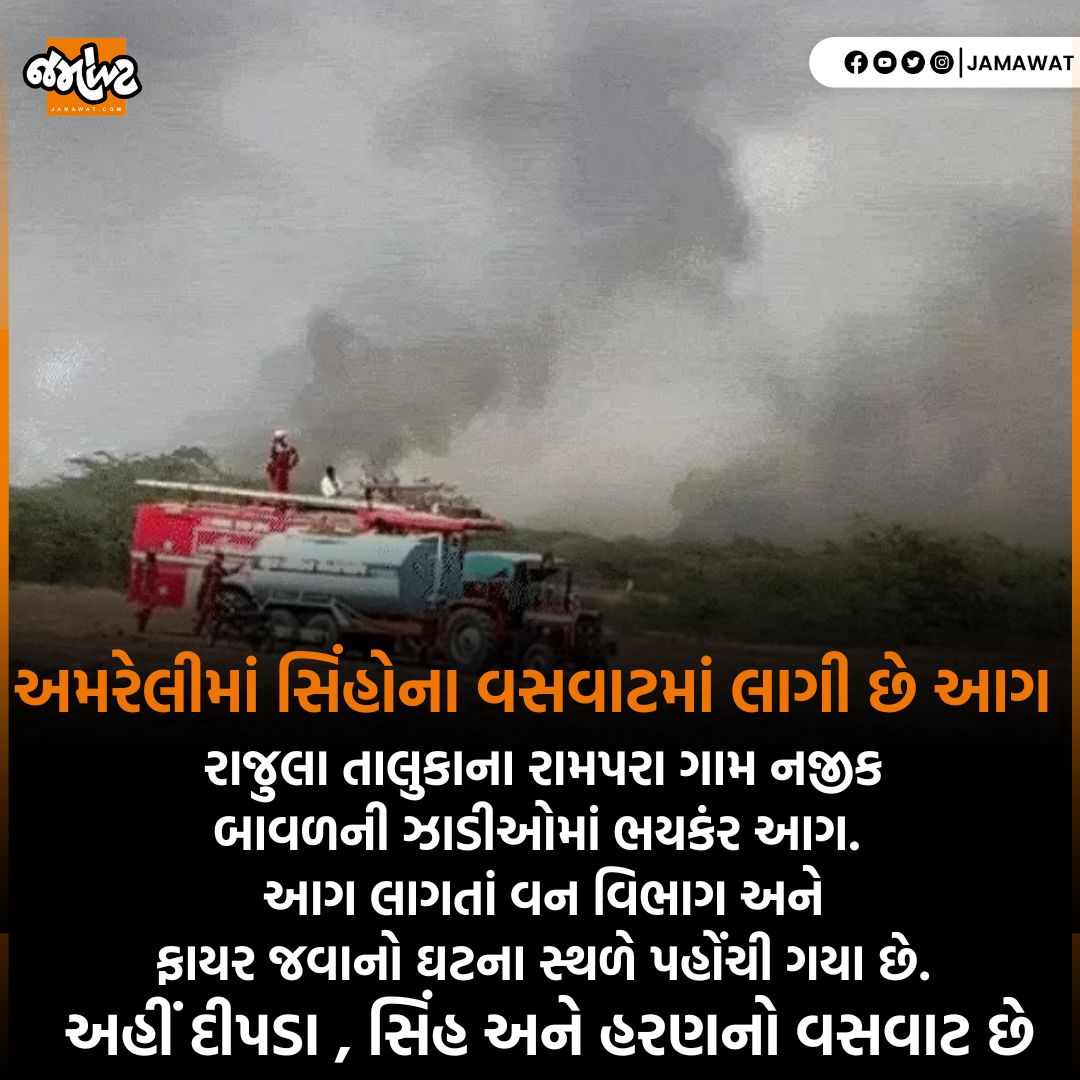 Jamawat3's tweet image. Amreliના Rajulaના Rampara ગામે સિંહ પરિવારના વસવાટમાં આગ લાગતાં , ફાયર ટીમ ઘટના સ્થળે પહોંચી
. 
#amreli #fire #rajula #lion #jamawat #gujarat